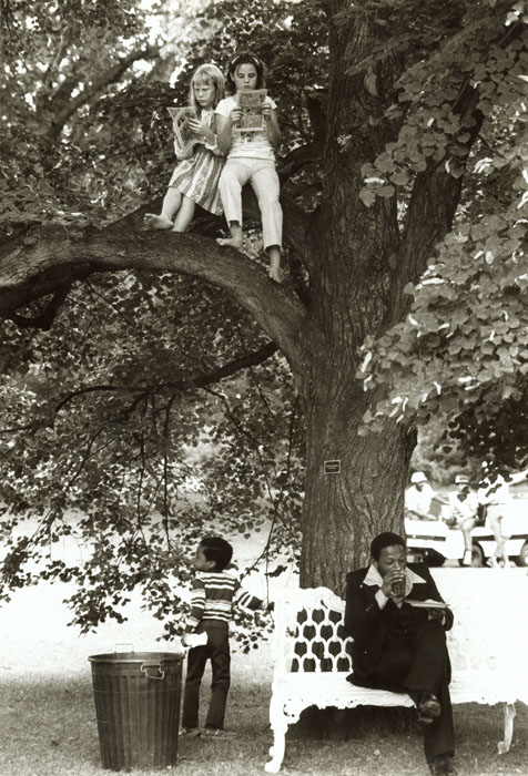 Up a Tree with Amy