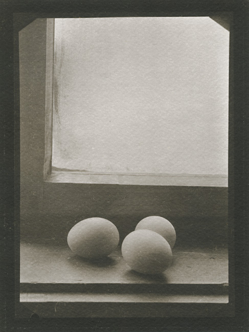 Still Life (Eggs on Shelf next to Window)