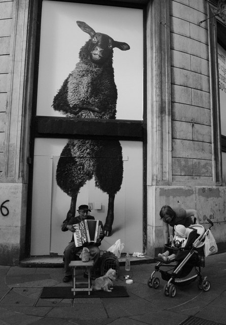 Street Scene with Large Sheep Poster Street Scene with Large Sheep Poster