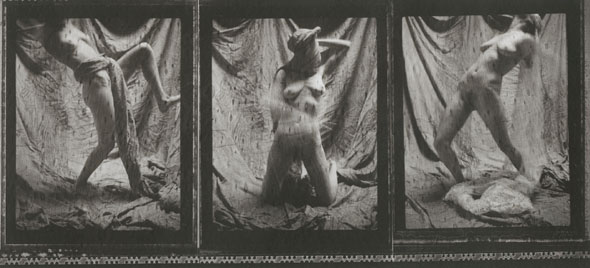 Untitled Triptych (Nude Self Portrait)