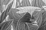 Russ Martin - Overhanging Leaf
Click for more Images Russ Martin - Overhanging Leaf
Click for more Images