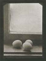 Richard Homola - Still Life (Eggs on Shelf next to Window)
Click for more Images