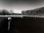 Tom Baril - Drive-In, MA
Click for more Images Tom Baril - Drive-In, MA
Click for more Images
