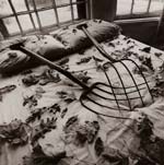 Arthur Tress - Making Leaves, Cold Spring, NY
Click for more Images