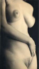 Charlie Schreiner - Torso (Female Nude)
Click for more Images