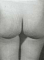 Marcel Marien - Untitled (Nude and Mesh)
Click for more Images