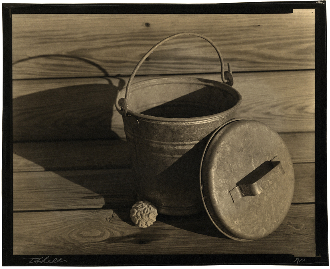 Pail and Coral Pail and Coral