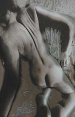 Todd Walker - Female Nude (Manipulated Photograph)
Click for more Images
