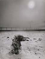 Arthur Tress - Dead Bird in the Sand
Click for more Images