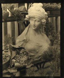 Thomas John Shillea - Statue and Roses
Click for more Images