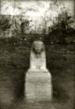 Christophe (Krzysztof) Pruszkowski - Dromos de Luqsor, 36 Sphinx, Egypt (Fotosinteza)
Click for more Images